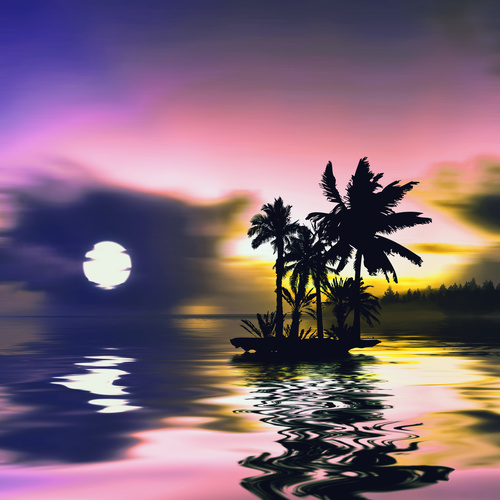 Sunset and reflection of coconut trees on the sea Stock Photo 01