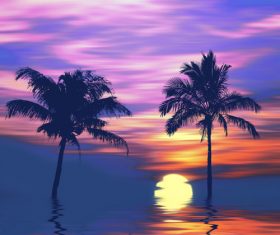 Sunset and reflection of coconut trees on the sea Stock Photo 02