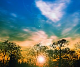 The halo and the woods of the sun at sunrise Stock Photo