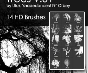 Trees HD Photoshop Brushes