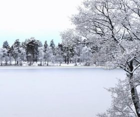 Trees and frozen lake after snow Stock Photo