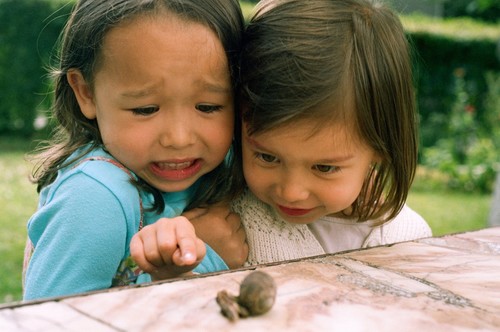 Two little girls scared by snails Stock Photo