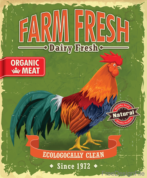 Vintage farm chicken poster template vector