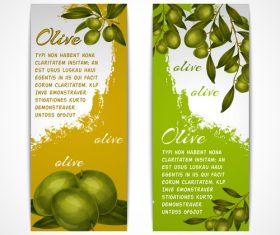 Vintage olives vertical banner vector