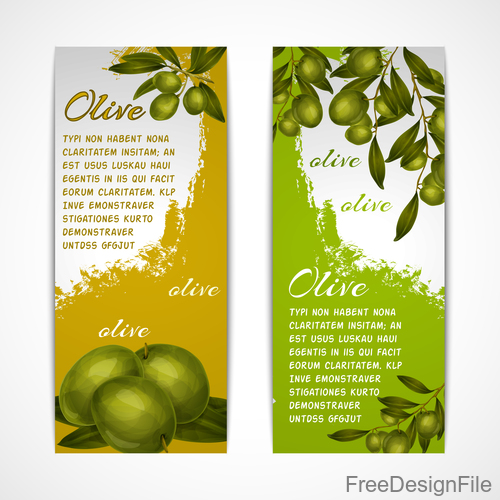 Vintage olives vertical banner vector