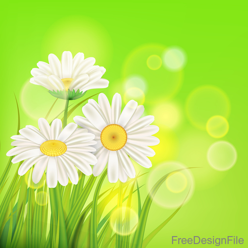 White chamomile with spring background vectors 01