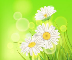 White chamomile with spring background vectors 02