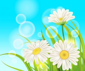 White chamomile with spring background vectors 03