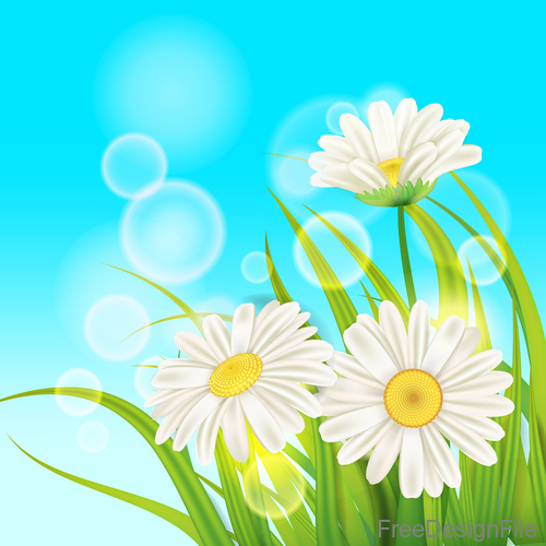 White chamomile with spring background vectors 03