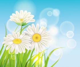 White chamomile with spring background vectors 04