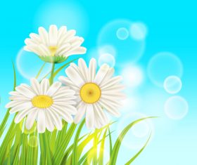 White chamomile with spring background vectors 05