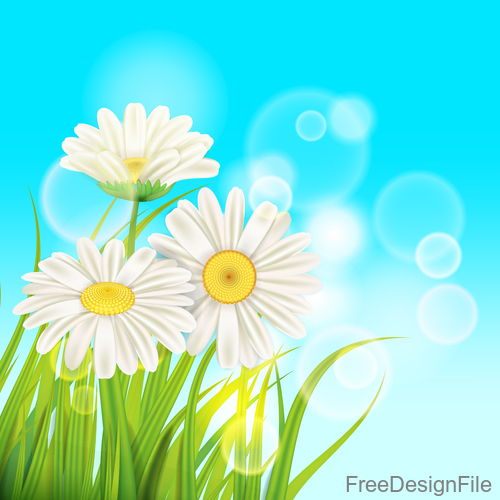 White chamomile with spring background vectors 05