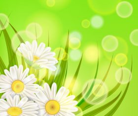 White chamomile with spring background vectors 06