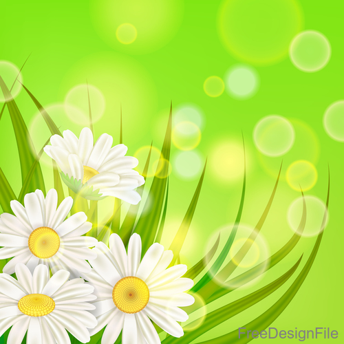 White chamomile with spring background vectors 06