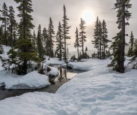 White snow and trees on both sides of the creek Stock Photo