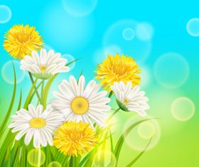 White with yellow chrysanthemum spring vector 02