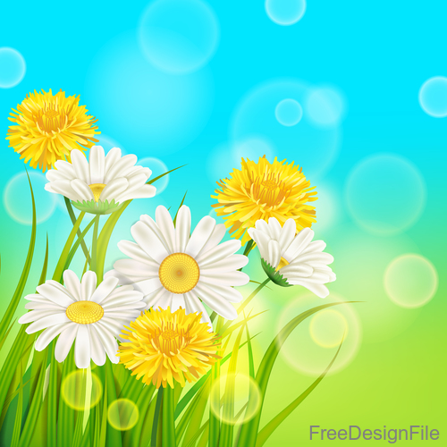 White with yellow chrysanthemum spring vector 02