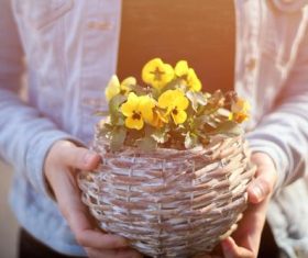 Woman holding a woven basket Stock Photo 02