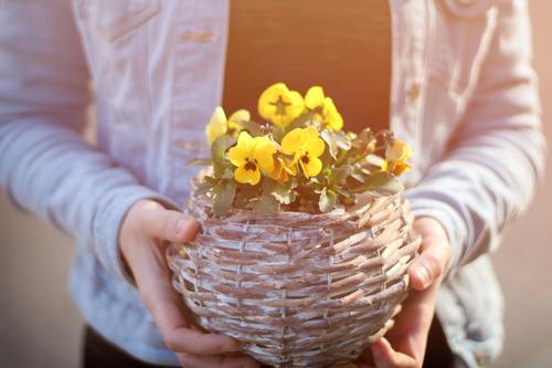 Woman holding a woven basket Stock Photo 02