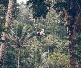 Woman swinging in scenic tourist area Stock Photo 03