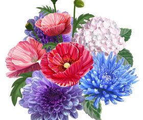 poppy bouquet illustration vector