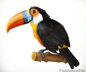 toucan 3d cartoon vector