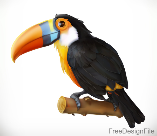 toucan 3d cartoon vector