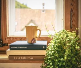 Book cup with green plants Stock Photo
