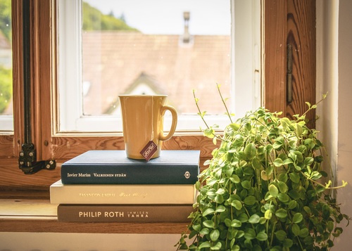 Book cup with green plants Stock Photo