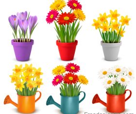 Colouful flower and flower pot vector