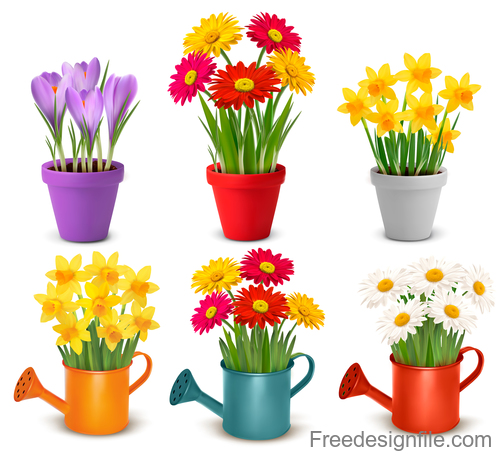 Colouful flower and flower pot vector