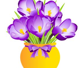 Crocus illustration vector