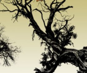 Dead Trees Photoshop Brushes