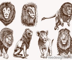 Lion skecth design vectors 01