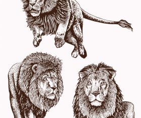 Lion skecth design vectors 03