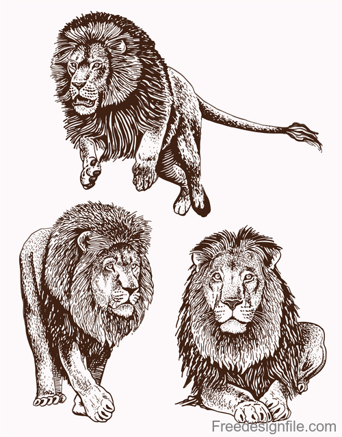 Lion skecth design vectors 03