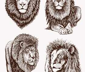 Lion skecth design vectors 04