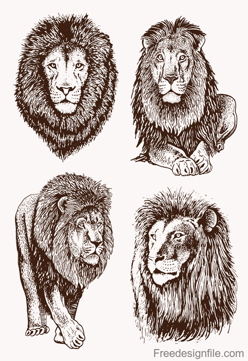 Lion skecth design vectors 04