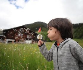 Little boy blowing dandelion flower Stock Photo