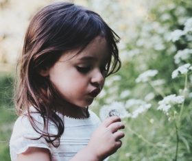 Little girl looking at flowers Stock Photo