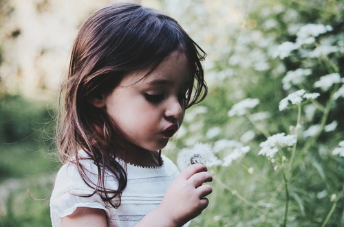 Little girl looking at flowers Stock Photo