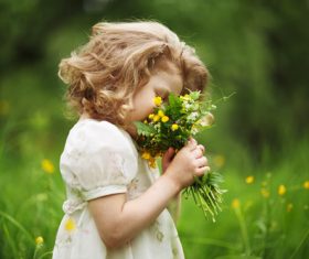 Little girl picking wild flowers Stock Photo