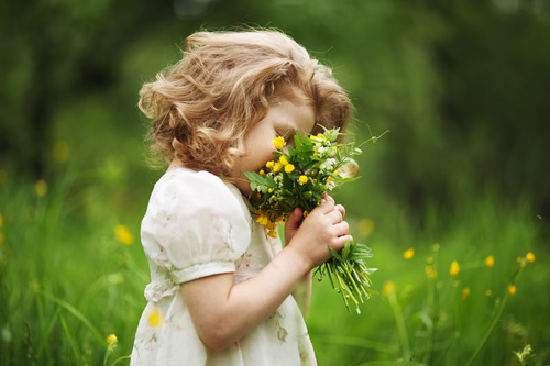 Little girl picking wild flowers Stock Photo