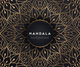 Mandala decorative pattern with luxury background vector 02