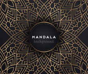 Mandala decorative pattern with luxury background vector 03