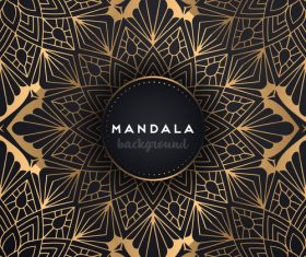 Mandala decorative pattern with luxury background vector 04