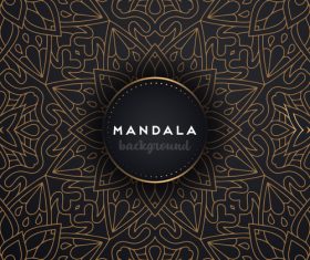 Mandala decorative pattern with luxury background vector 05