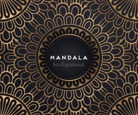 Mandala decorative pattern with luxury background vector 06