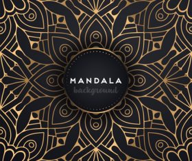 Mandala decorative pattern with luxury background vector 07