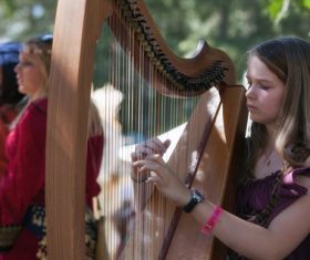 People playing harp Stock Photo 01